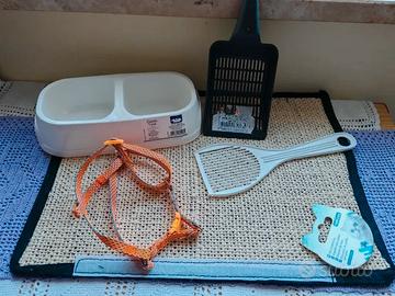 Gatto/ ciotolina / tiragraffi/ guinzaglio / palett