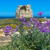 Casa Vacanze San Foca - Lecce