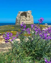 Casa Vacanze San Foca - Lecce