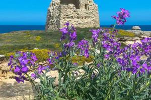 Casa Vacanze San Foca - Lecce