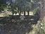 Immagine 26