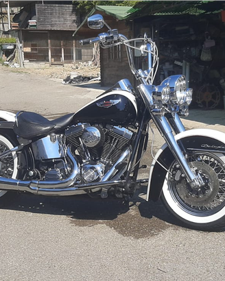 Harley Davidson Softail Deluxe Carburatore