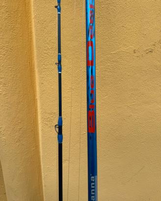 Italcanna blue deep 300 e Shimano baitrunner 8000