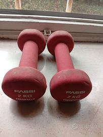 Manubri da 2KG
