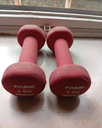 Manubri da 2KG
