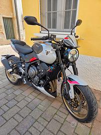 triumph trident 800 nuovo modello