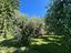 Immagine 15
