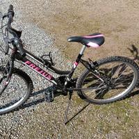 Bici Frejus 24
