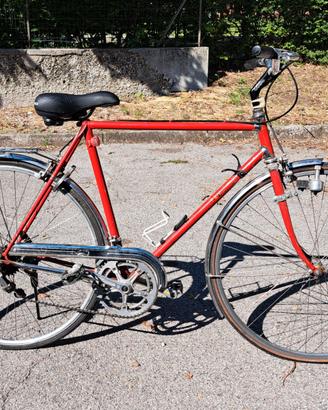 Bicicletta uomo 