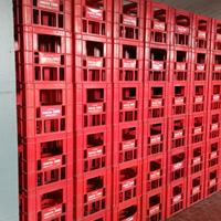 cestelli in plastica Mplen