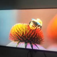 Monitor LG 4K HDR 32 pollici perfetto per PS5 Xbox
