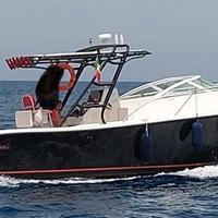 Mako Marine 333 attack con 2x250 suzuki 600 ore