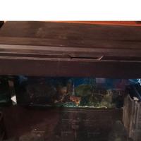 Acquario 150 litri
