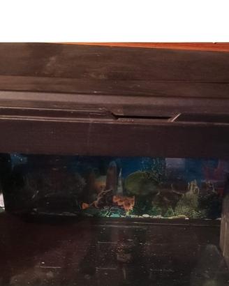 Acquario 150 litri