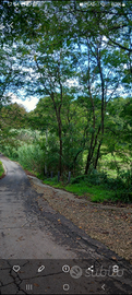 Terreno con accesso diretto su strada