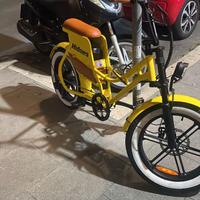 Bici elettrica