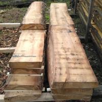 Tavole di cedro, rovere, castagno, ciliegio ecc