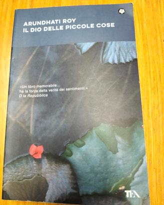 Arundhati Roy - Il dio delle piccole cose