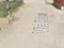 Immagine 11