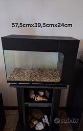 Acquario interamente in vetro