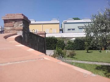 Lucca STADIO Duplex Nuovo 810