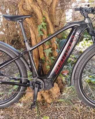  Diverse MTB  bici 29 carbonio e aluminum  26 27.5