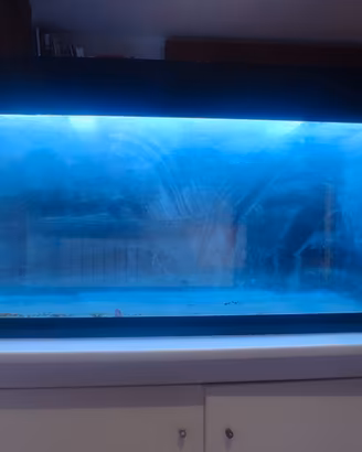 Acquario   130x50xh60 cm