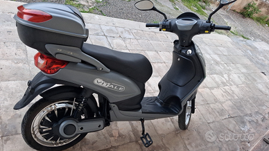 Bicicletta elettrica 500 w