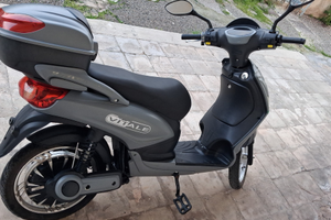Bicicletta elettrica 500 w