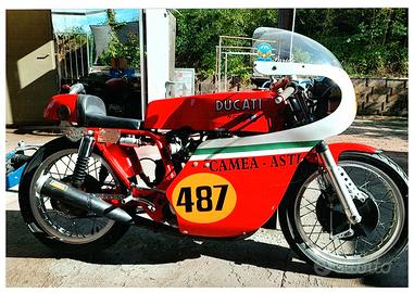 Ducati Mack 5 NCR Corsa autografata - TARGA ORO