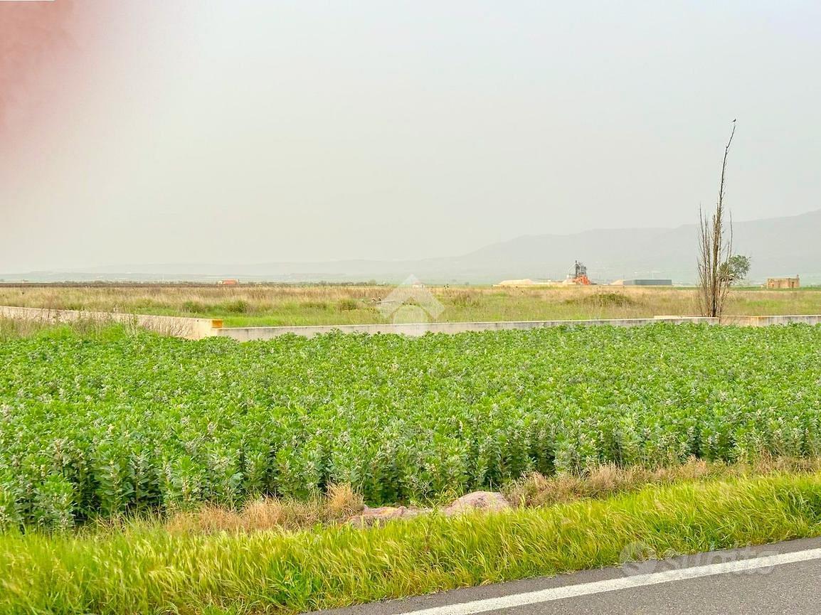 TER. AGRICOLO A SAN SEVERO - Vista 5