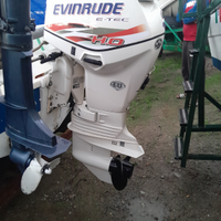 Evinrude 40 ho