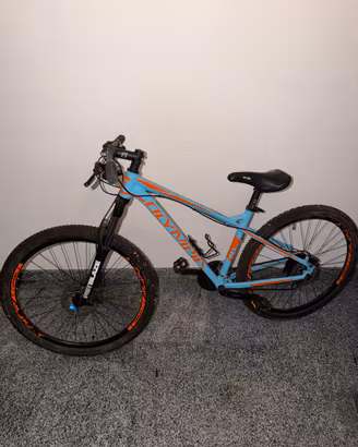 Mountainbike