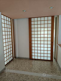 Grande e luminoso appartamento