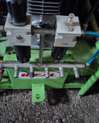 Strumento raccolta olive