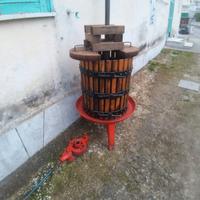 pressatrice verticale x uva .
