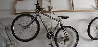Mountain bike bottecchia