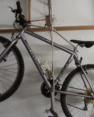 Mountain bike bottecchia