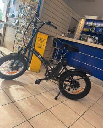 Bicicletta elettrica