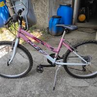 bicicletta bimba itek