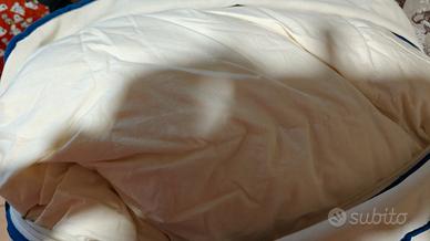 Piumone Matrimoniale Bassetti 250x200 