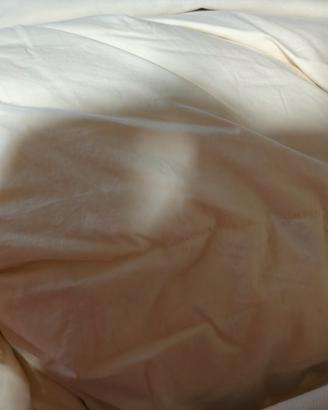 Piumone Matrimoniale Bassetti 250x200 