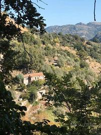 Villetta vicino Taormina