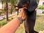 Immagine 5