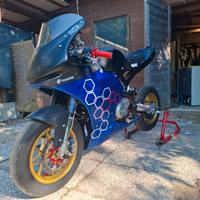 mini gp 12 pollici ayrton suprema 