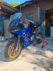 mini gp 12 pollici ayrton suprema 