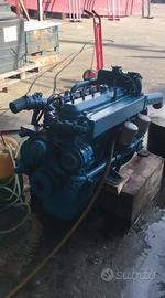 Motori Aifo 8060.02  125cv