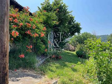 Rif.9338TA11086| azienda agricola torrazza coste