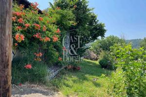 Rif.9338TA11086| azienda agricola torrazza coste