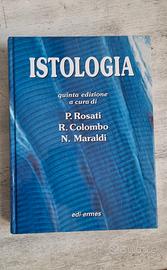 Istologia Rosati